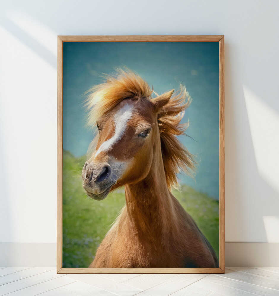 Happy horse - Art Print by Hans Repelnig