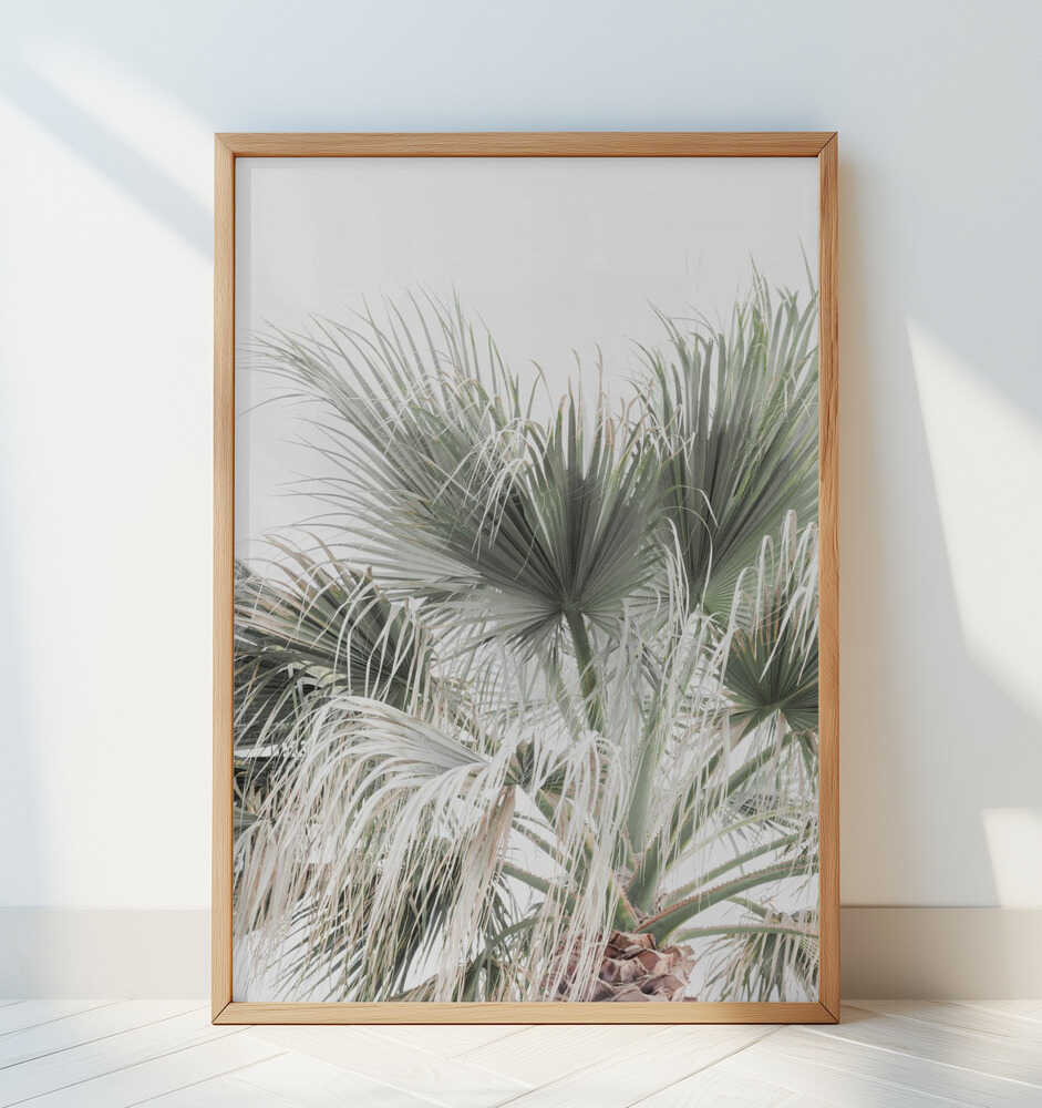 Palm Leaf - Art Print by Kathrin Pienaar