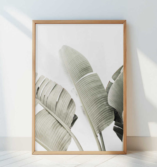 Banana leaf 1 - Art Print by Kathrin Pienaar