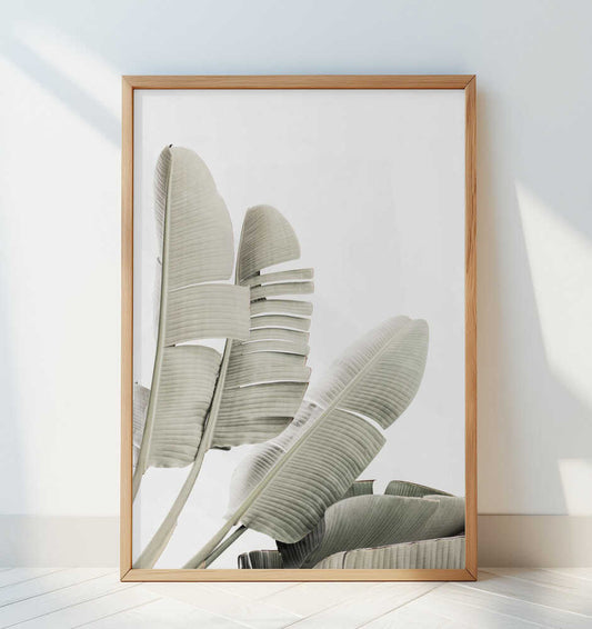 Banana leaf 2 - Art Print by Kathrin Pienaar
