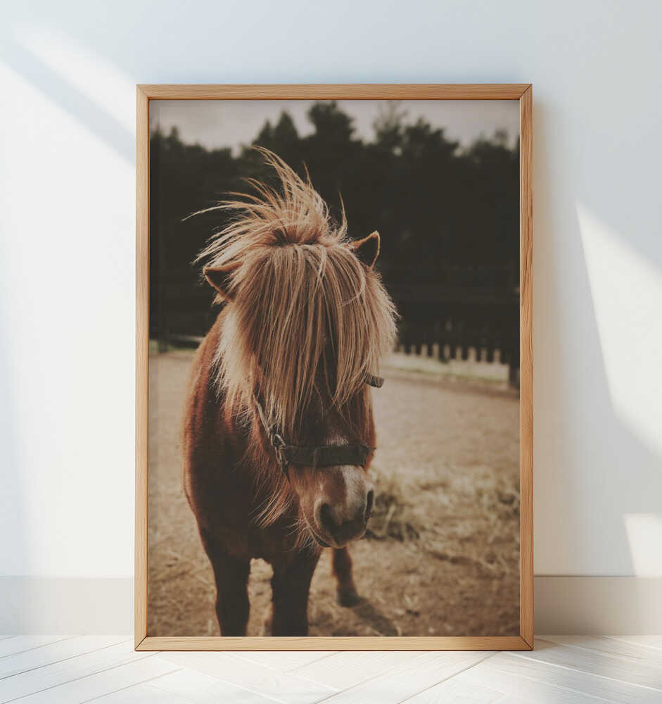Pony with a Shaggy Mane - Art Print by Javier Pardina