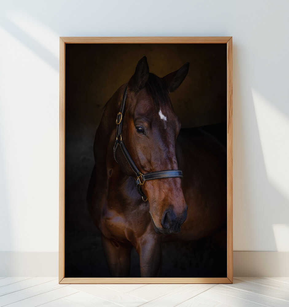 The Horse - Art Print by Hein Jonker