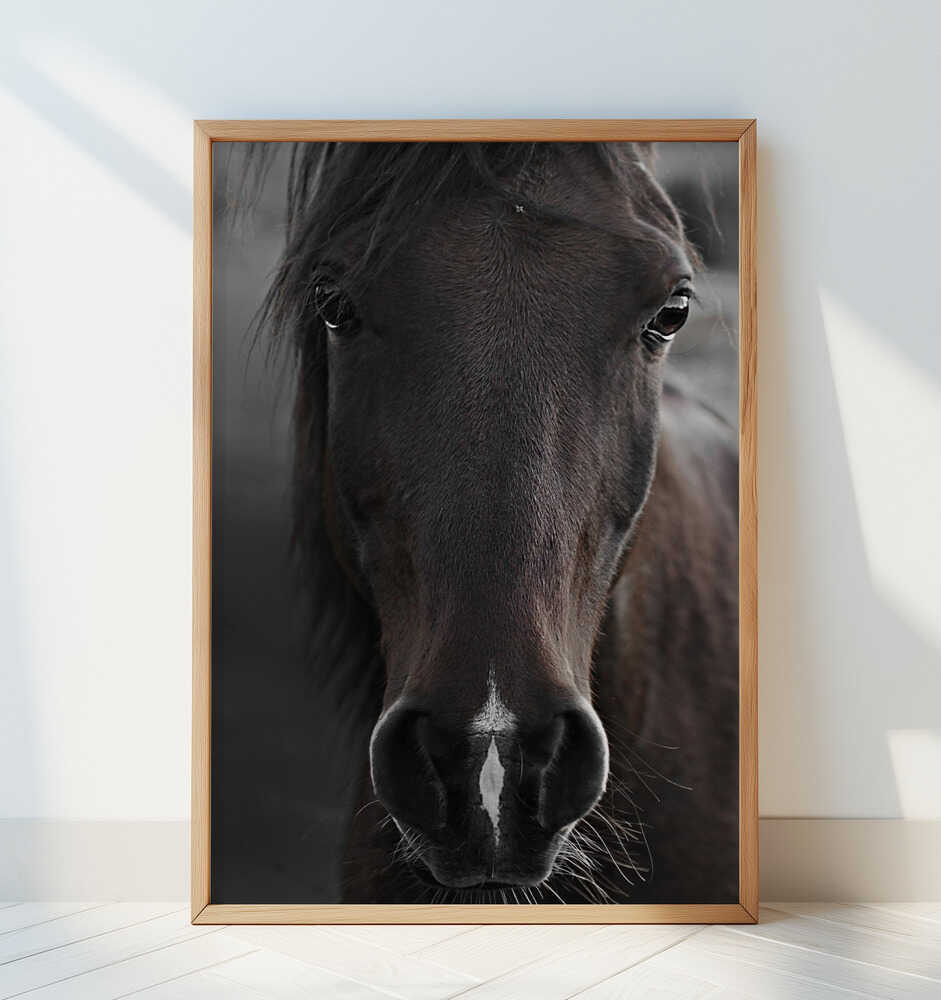 Dark Horse - Art Print by Monika Strigel