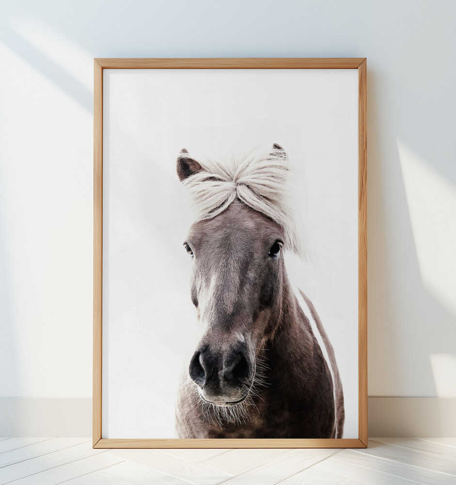 Iceland Horse Lucy - Art Print by Monika Strigel