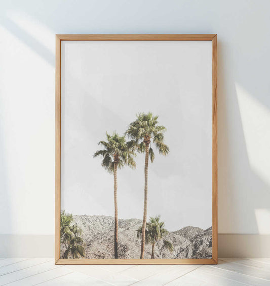 Palm Springs Palms - Art Print by Kathrin Pienaar