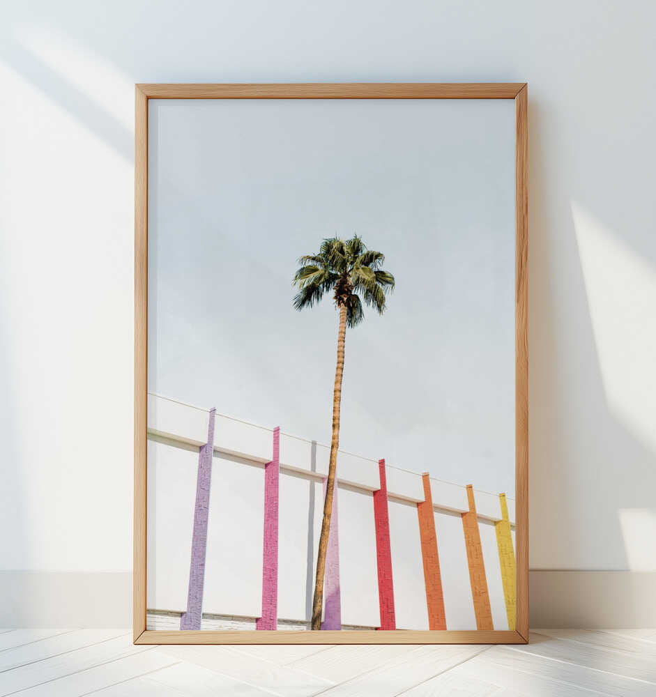 Palm Spring Colors 2 - Art Print by Kathrin Pienaar