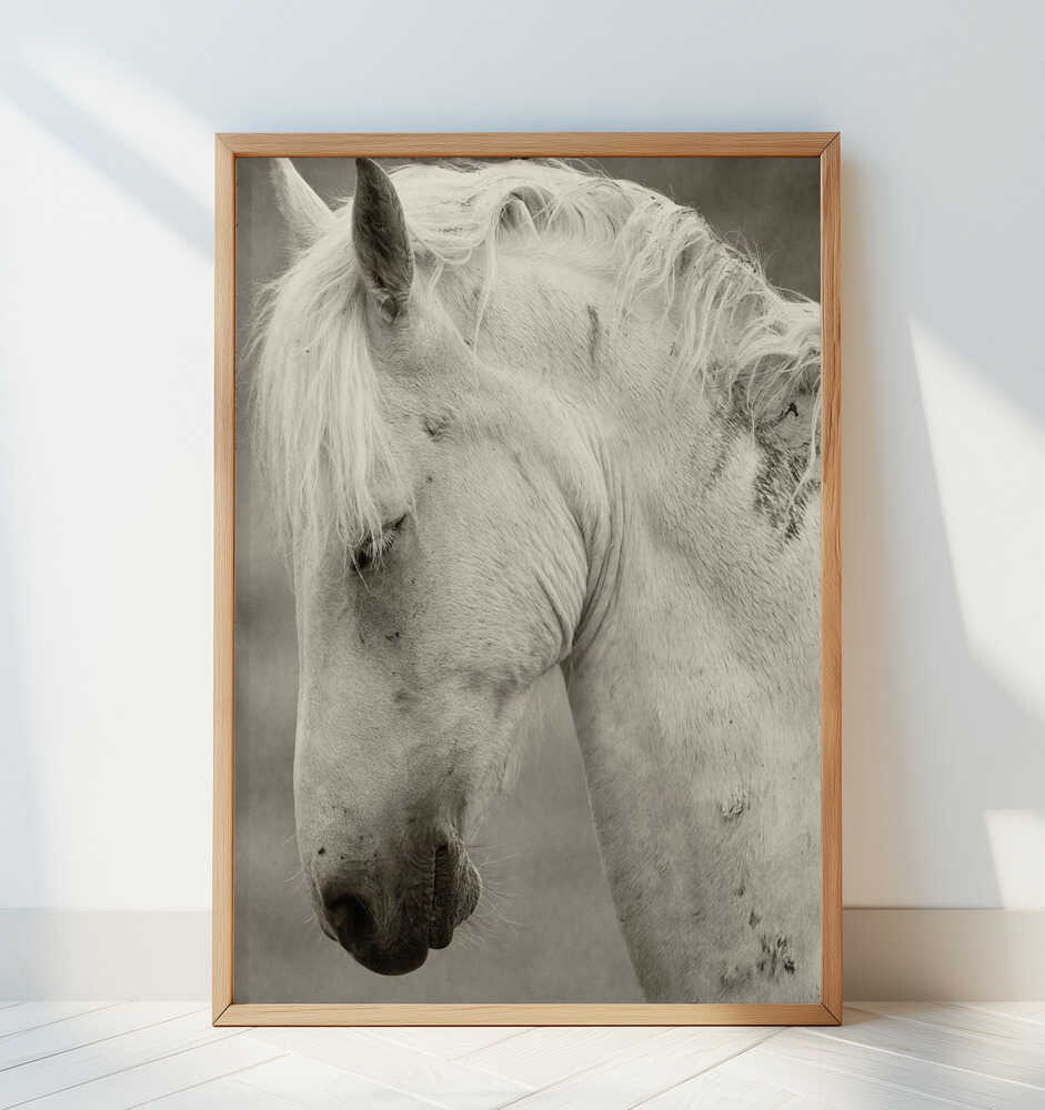 Horse portrait - Art Print by Allan Wallberg