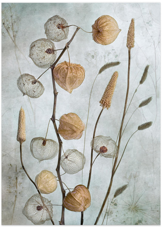 Lanterns* - Art Print by Mandy Disher