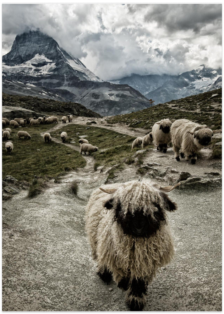 Out of my way - Art Print by Susanne Landolt