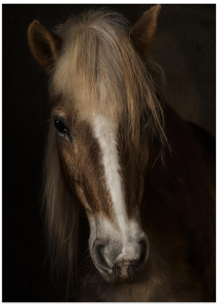 Sapience - Art Print by Martine Benezech