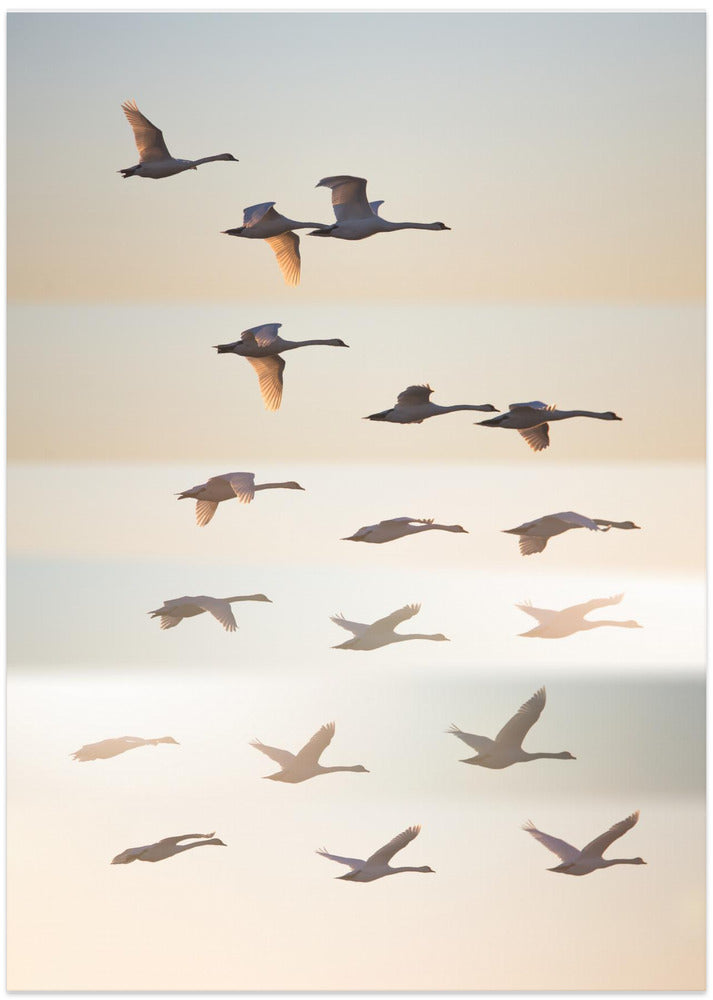 Past the sun. - Art Print by Leif Løndal