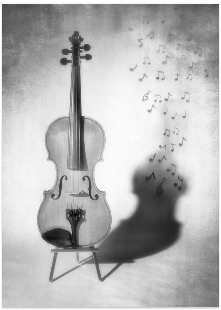 Mélodie - Photo Art Print by Louis-Philippe Provost