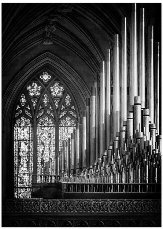 Ranks - Photo Art Print by Christopher Budny