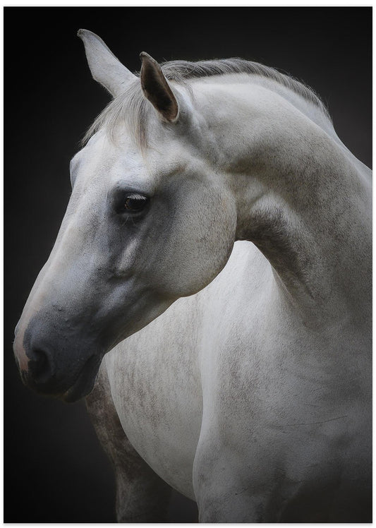 Maggie - Art Print by Avishai Avivi