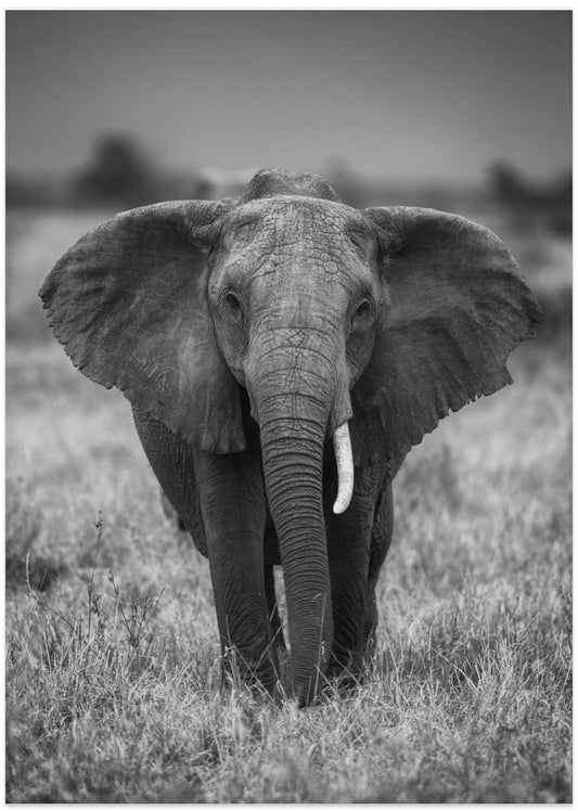 SINGULARITY - Art Print by Jaco Marx