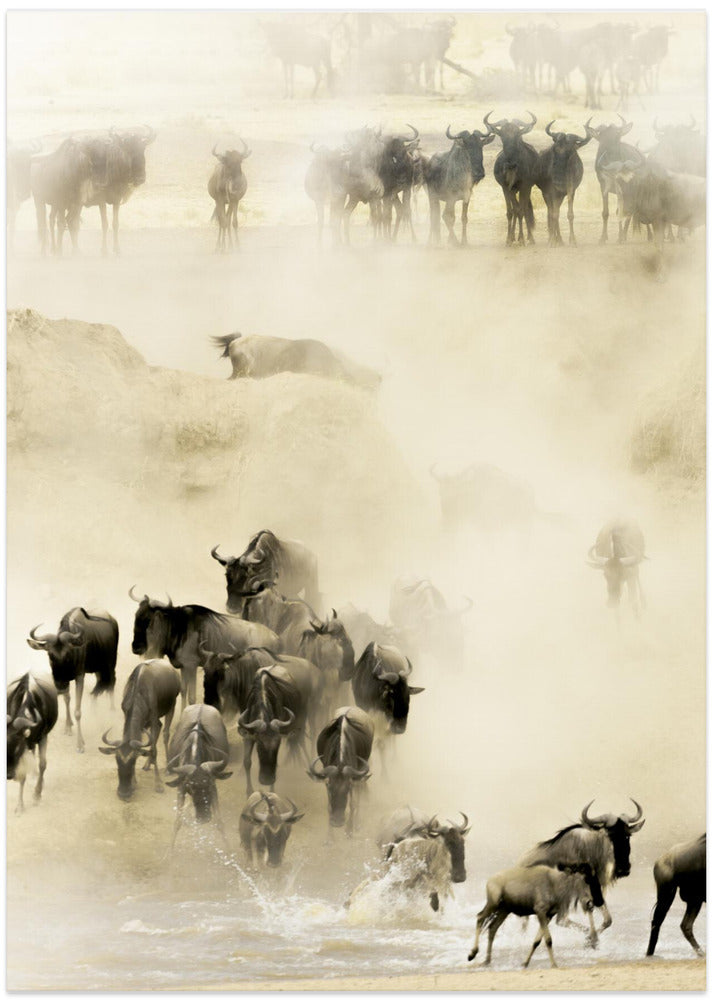 Swarming - Art Print by Husain Alfraid