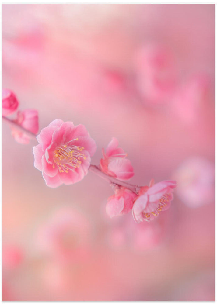 Untitled - Art Print by Miyako Koumura