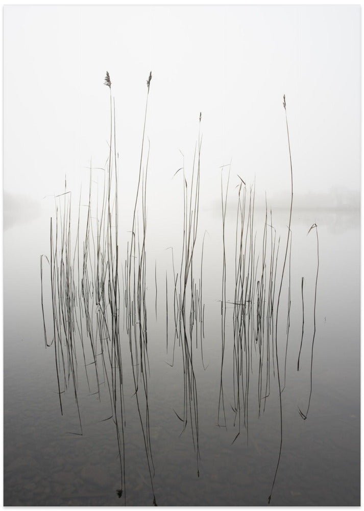 silence - Art Print by David Ahern