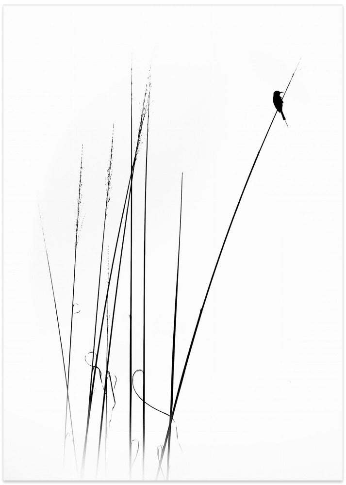 a sabbatical - Art Print by Swapniel s deshpnde