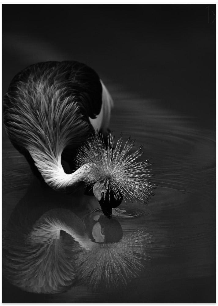 The reflection - Art Print by C.S. Tjandra