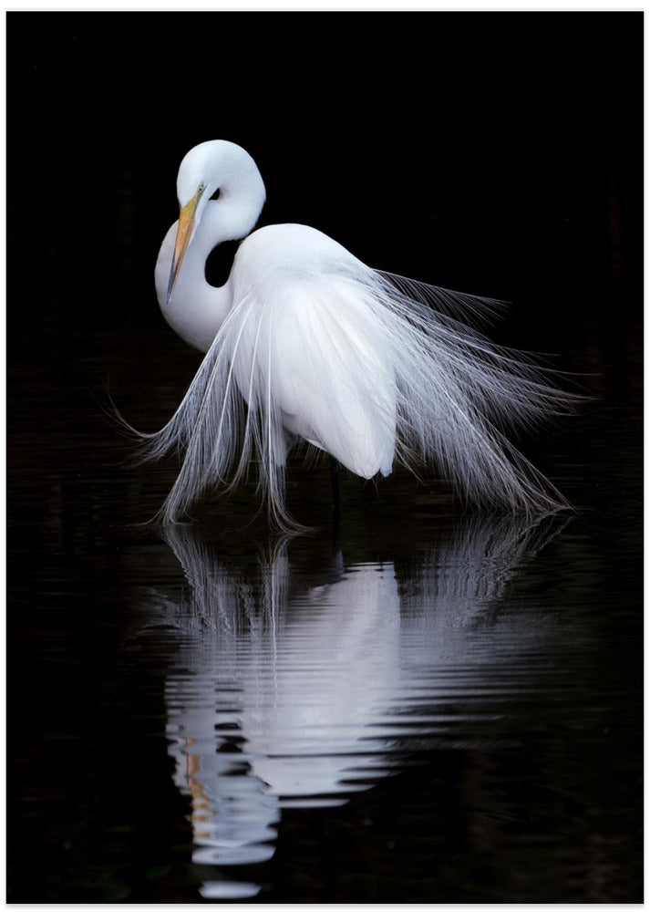 watching - Art Print by Ben Li