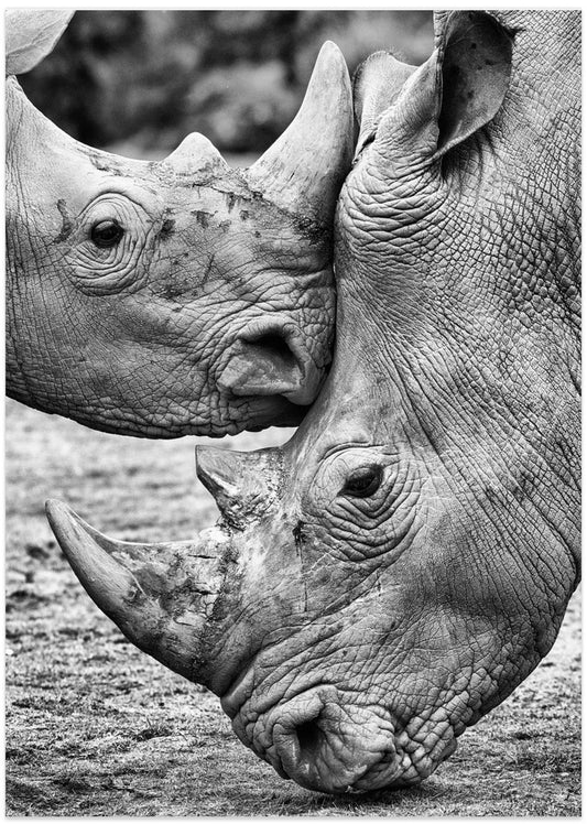 Face to face - Art Print by Jesus Concepcion Alvarado