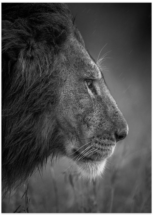 Thinking Under The Rain - Art Print by Faisal ALnomas