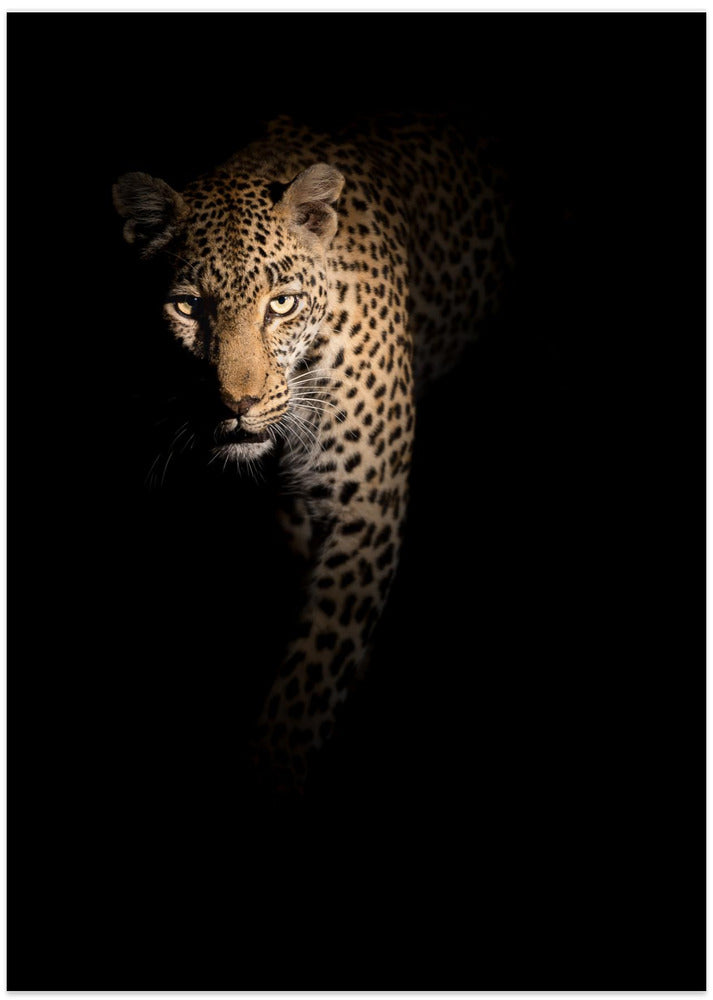 Out of the darkness - Art Print by Richard Guijt