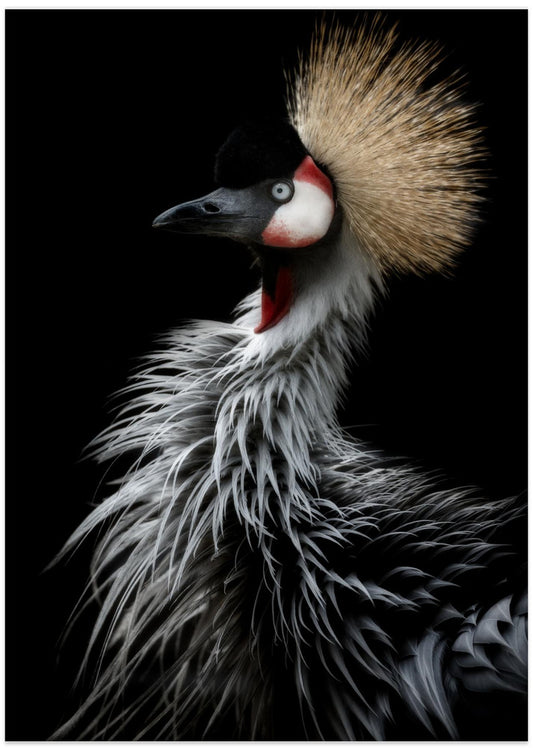 Crowned crane's portrait - Art Print by Eiji Itoyama