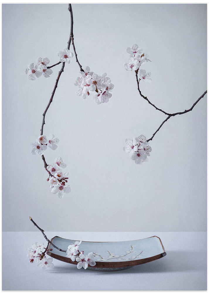 The First Cherry Blossom - Art Print by Inna Karpova