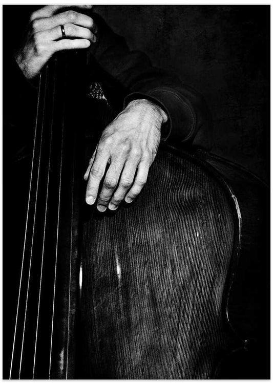 jazz - Photo Art Print by Nicoleta Gabor