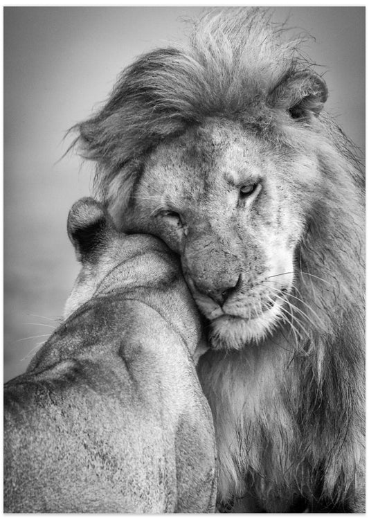 African Love! - Art Print by Ali Khataw