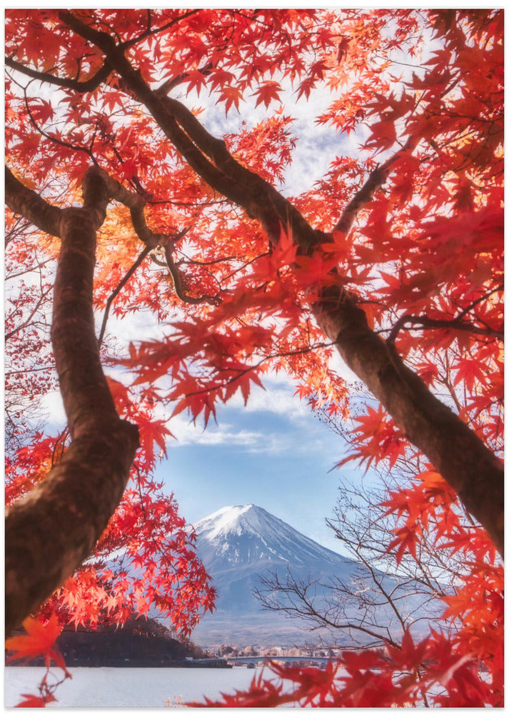 Mt.fuji is in the autumn leaves - Art Print by Makiko Samejima