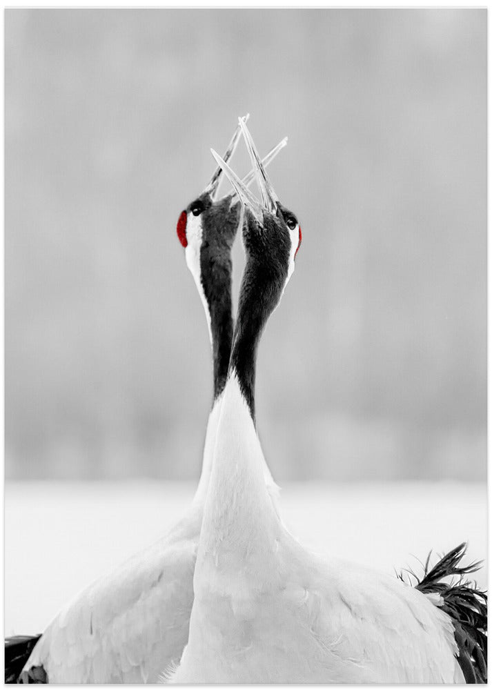 sing for morning - Art Print by Jie Fischer