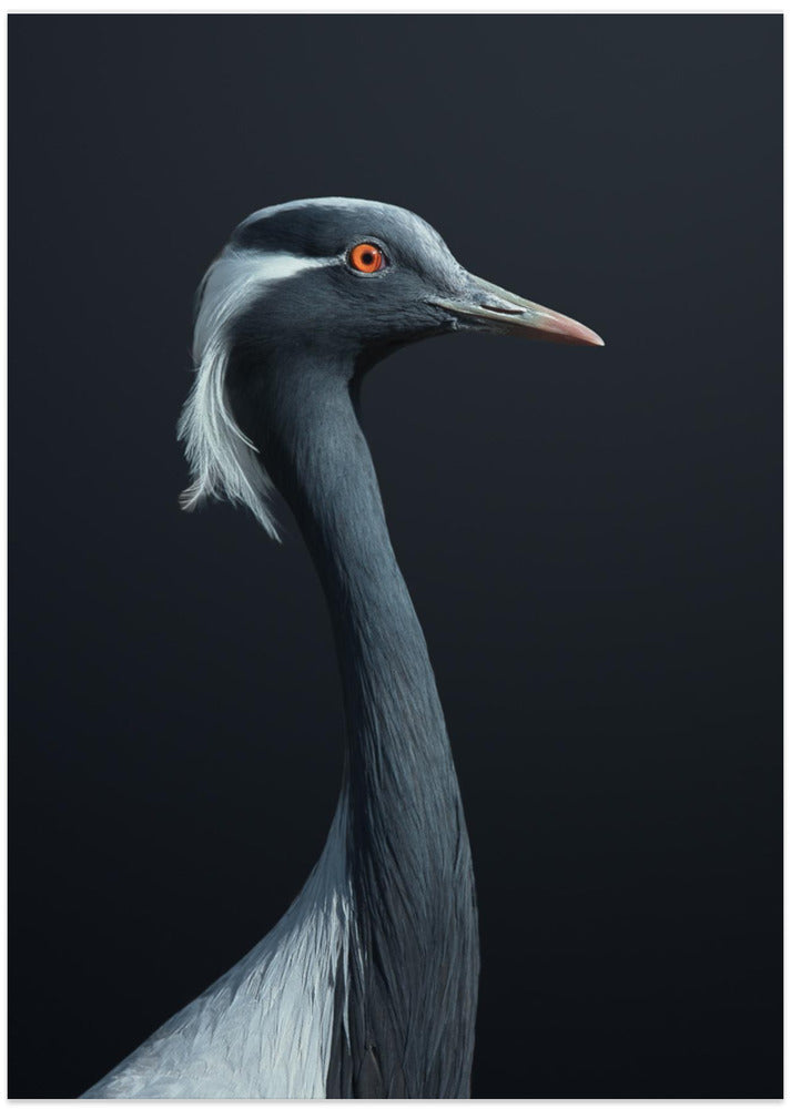 La Demoiselle - Art Print by fegari