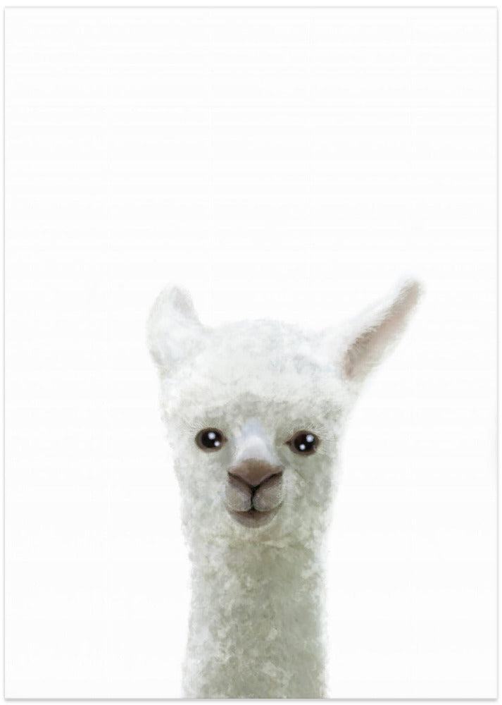 Llama - Art Print by Pictufy Studio II