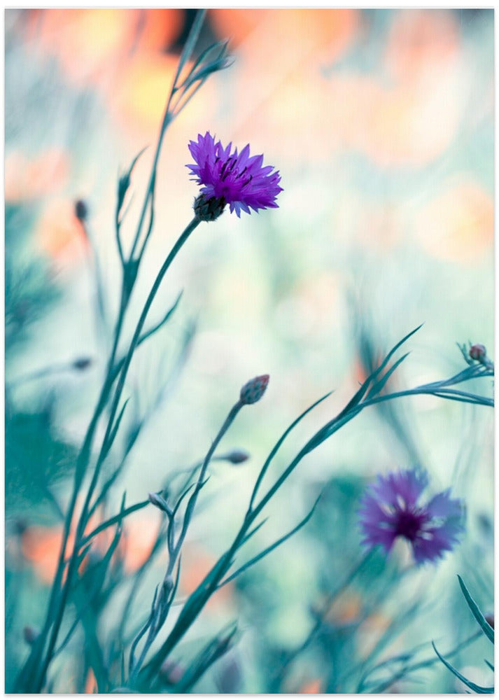 Colors game 2 - Art Print by Fabien BRAVIN