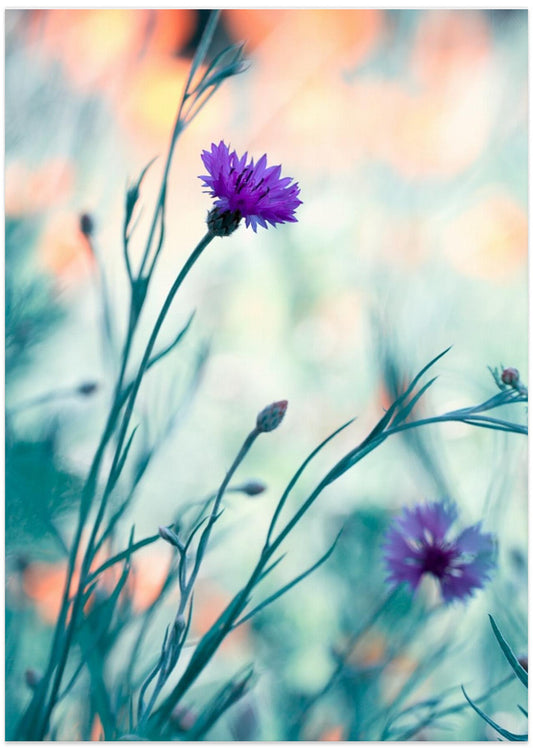 Colors game 2 - Art Print by Fabien BRAVIN