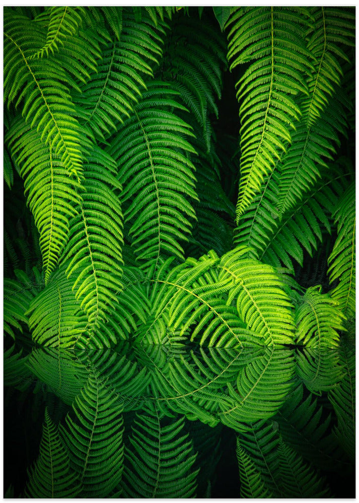 Beauty In Nature - Art Print by Takeshi Mitamura