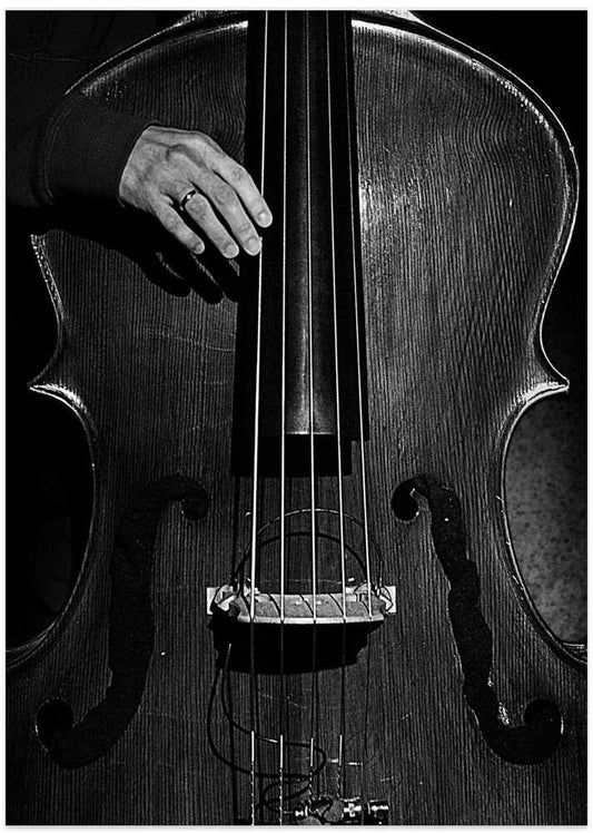 jazz - Photo Art Print by Nicoleta Gabor