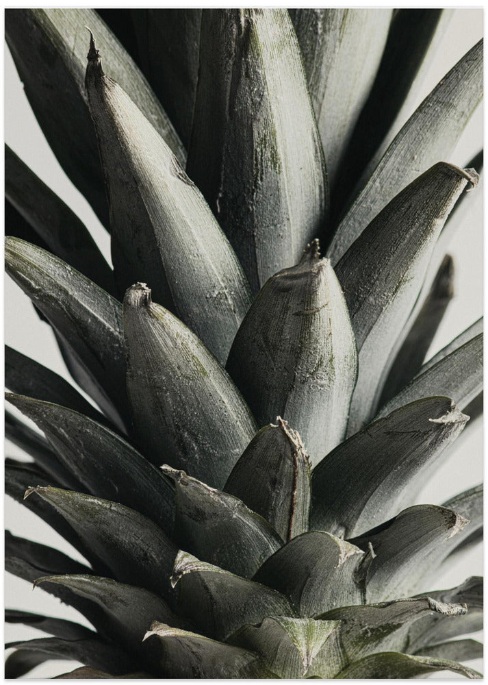 Pineapple close up - Art Print by Pictufy Studio III