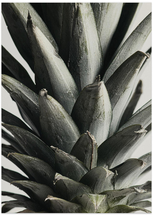 Pineapple close up - Art Print by Pictufy Studio III