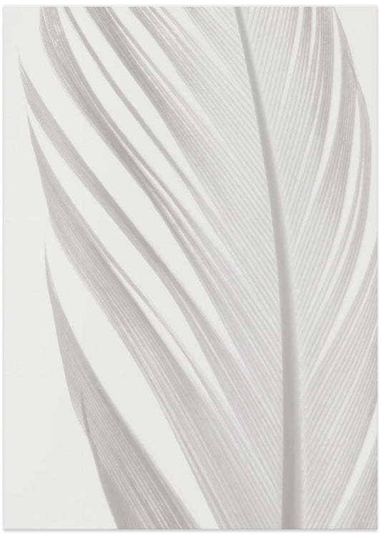 Feather_006 - Art Print by Pictufy Studio III