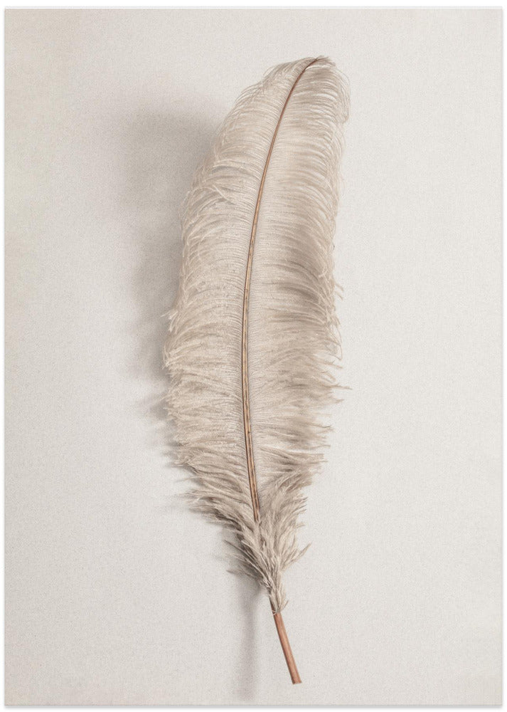 Feather_002 - Art Print by Pictufy Studio III