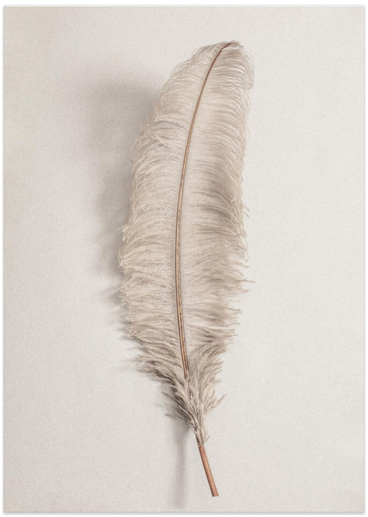 Feather_002 - Art Print by Pictufy Studio III