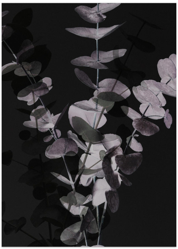 Eucalyptus_Negative_001 - Art Print by Pictufy Studio III