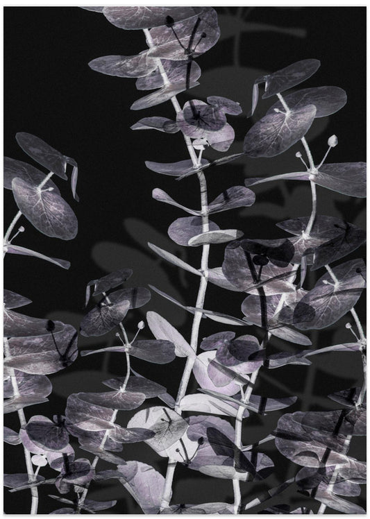 Eucalyptus_Negative_002 - Art Print by Pictufy Studio III