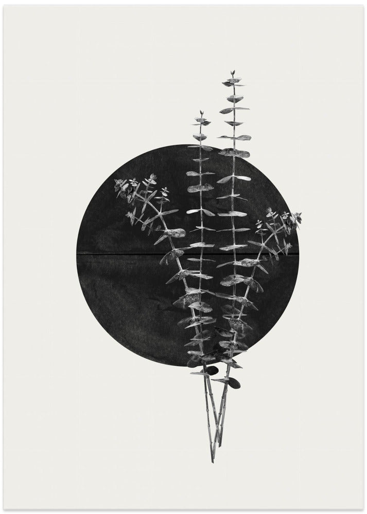 Eucalyptus Moon - Art Print by THE MIUUS STUDIO