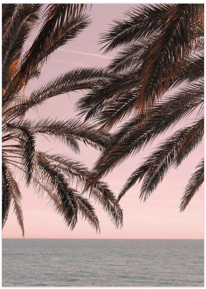 Palm_011 - Art Print by Pictufy Studio III