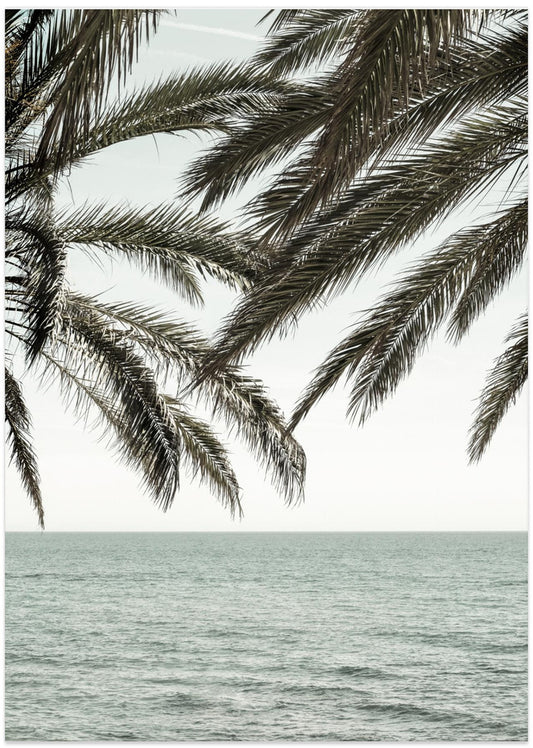 Solaris 04 - Art Print by Pictufy Studio III